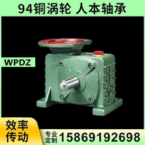 Worm gear reducer wpdz 60 70 80 100 120 135 variable speed gearbox with motor