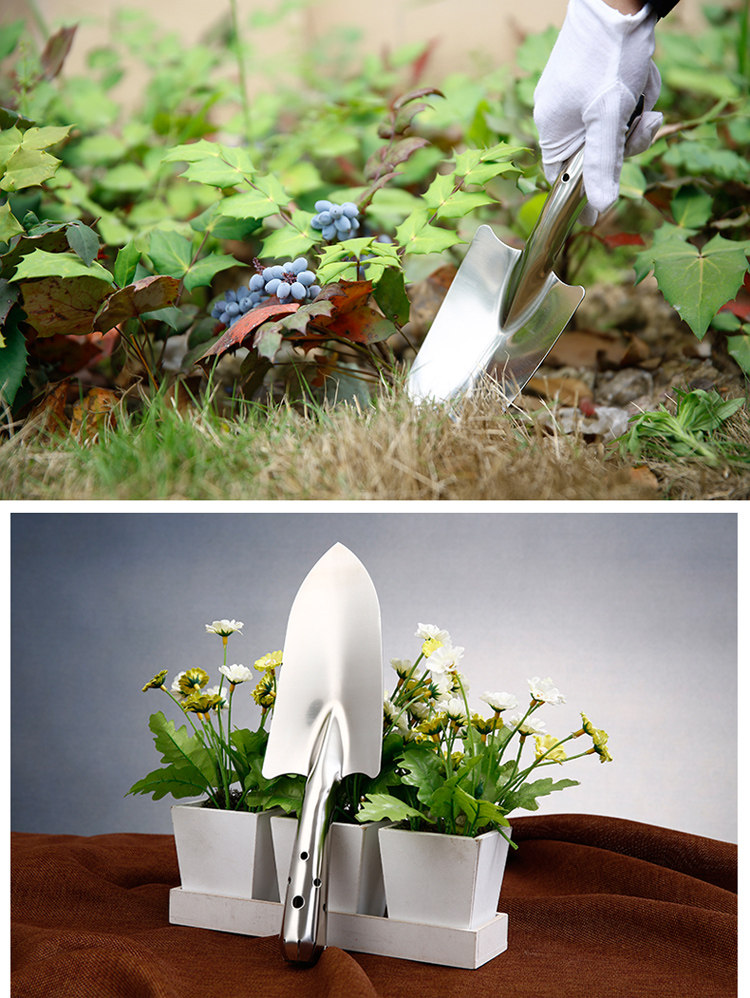 园艺工具铁铲不锈钢小铲子种花工具铲花园农用铁锹铁铲农具花铲