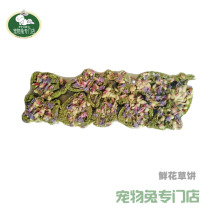 Rabbit Chrysanthemum Grass Cake to heat up the fire grinding tooth without adding glue Health Grass Rabbit Rabbit Flowers Grass Cake