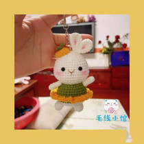 Ballet rabbit 029 hand - hand diy hook needle woven tutorial of doll doll non - finished electronic graph