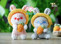 Harvest rabbit 017 wool hand diy drawing graphics electronic tutorial hook doll doll nonfinished key buckle