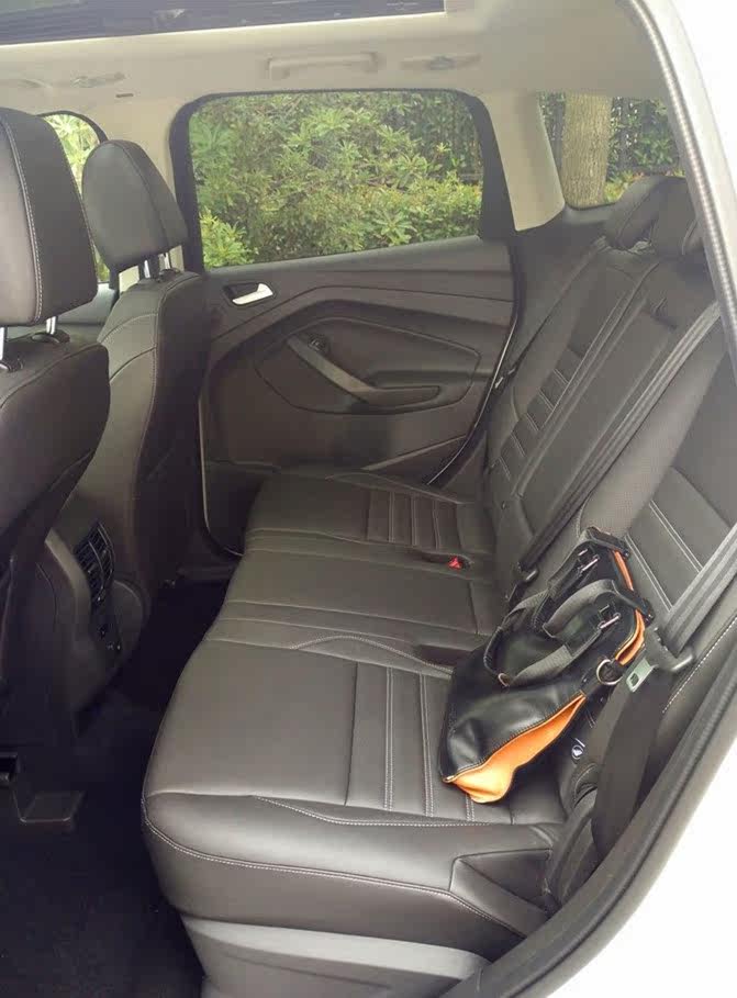 一大家子翼虎,醉了