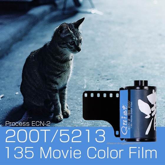 새로운 배치 5213 영화 200t 필름 135 라이트 컬러 음색 필름 블루 쿨 톤 5207 Kodak ECN2 펀치 새로운 배치 5213 영화 200t 필름 135 라이트 컬러 음색 필름 블루 쿨 톤 5207 Kodak ECN2 펀치