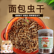 Bulk bread worm dried mealworm Hamster food 120g Hedgehog food Hamster main food snack Turtle food Fish food