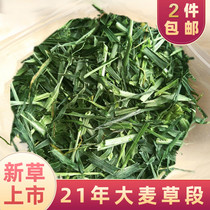 2021 New great wheat grass section 500g rabbit dragon cat guinea pig geranium Dutch pig hamster dried grass feed grain