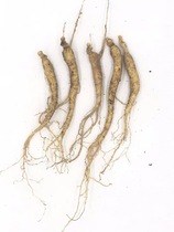 Gifts Northeast parameter not shipped Chief Baishan white strip