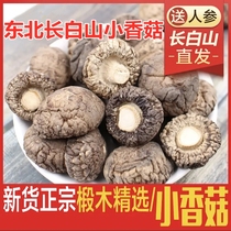 Northeast special wood nonwild special bulk bulk mushroom nutritional mushroom 500g Changbai Mountain money mushroom