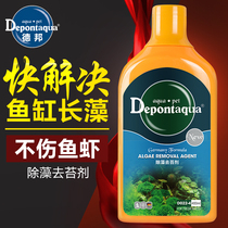 Debang fish tank algaecide does not hurt the fish aquarium to remove the algae and the moss removal agent to remove the green algae.