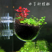 Super white fish tank polka type feeding landscape basin in Cylinder water grass cup water plant planting cup super white glass