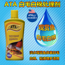 ATA ornamental fish white hair white cotton treatment agent fish surface cotton wool water mold mucus increased Gill mold