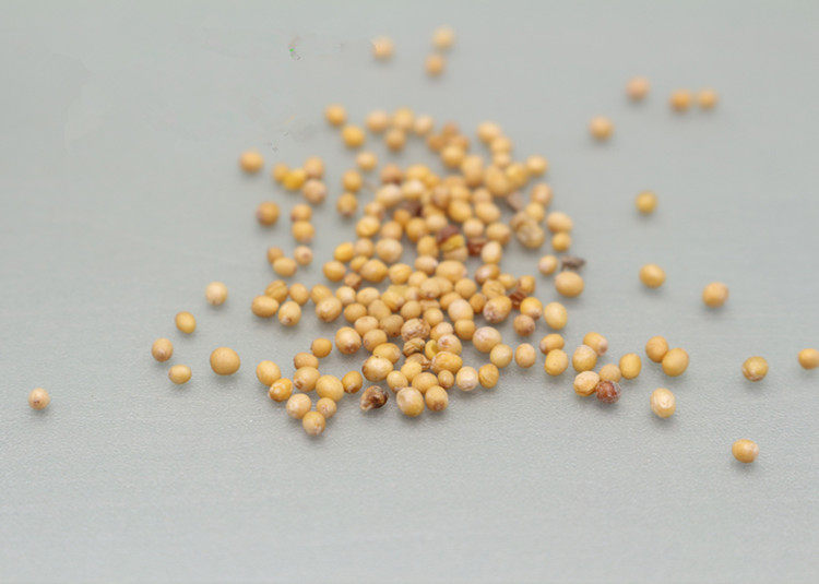 白芥子包邮中药材三子汤 另有莱菔子 白萝卜籽萝卜子萝白子紫苏子