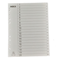 Paper twenty pages of digital white card sub-sheet paper index page