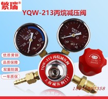 YQW-213 Propane pressure reducer Propane pressure regulator Propane bottle pressure reducing valve Shanghai Fanrui propane meter