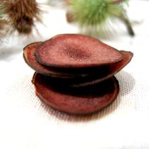 Jilin sika deer antler slices (2 yuan a gram)Northeast Changbai Mountain antler slices Non-deer whip slices soak wine soup