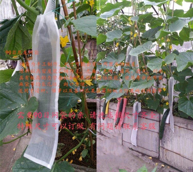 90目防虫袋瓜果防果蝇金蝇针蜂套袋尼龙网袋黄瓜葡萄苦瓜番茄丝瓜