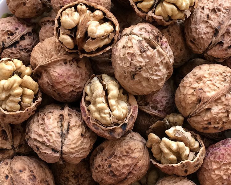 21新货云南大理漾濞核桃野生薄皮壳纸皮麻子原味散装大泡5斤核桃