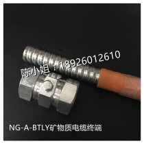 Minerals Cable Head BTLY Fire Protection Cable Terminal Head BTLY Terminal Headstock Supply 1*16