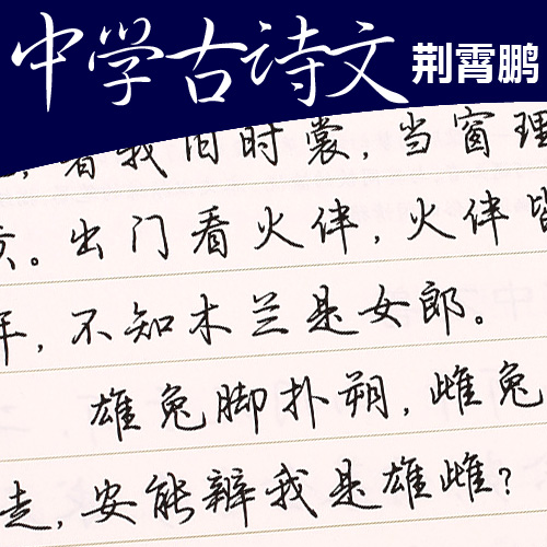 成人行书字帖 行楷连笔字临摹硬笔字帖 墨点荆霄鹏初中生钢笔字