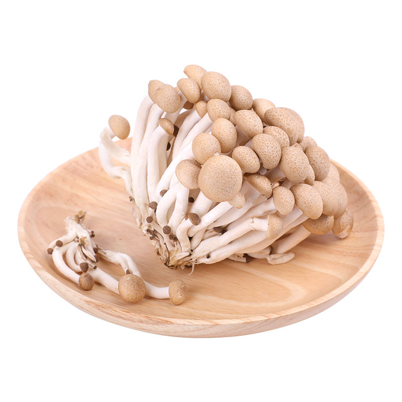 selected crab mushroom 145g