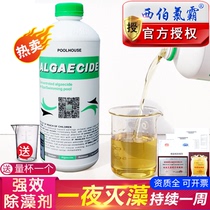 Siberchlor pool algaecide baby pool hydrotherapy pool massage pool water treatment agent Algaecide