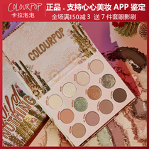 Colourpop new eye shadow plate Carla bubble Wild Nothing cactus plate colorpop12 color