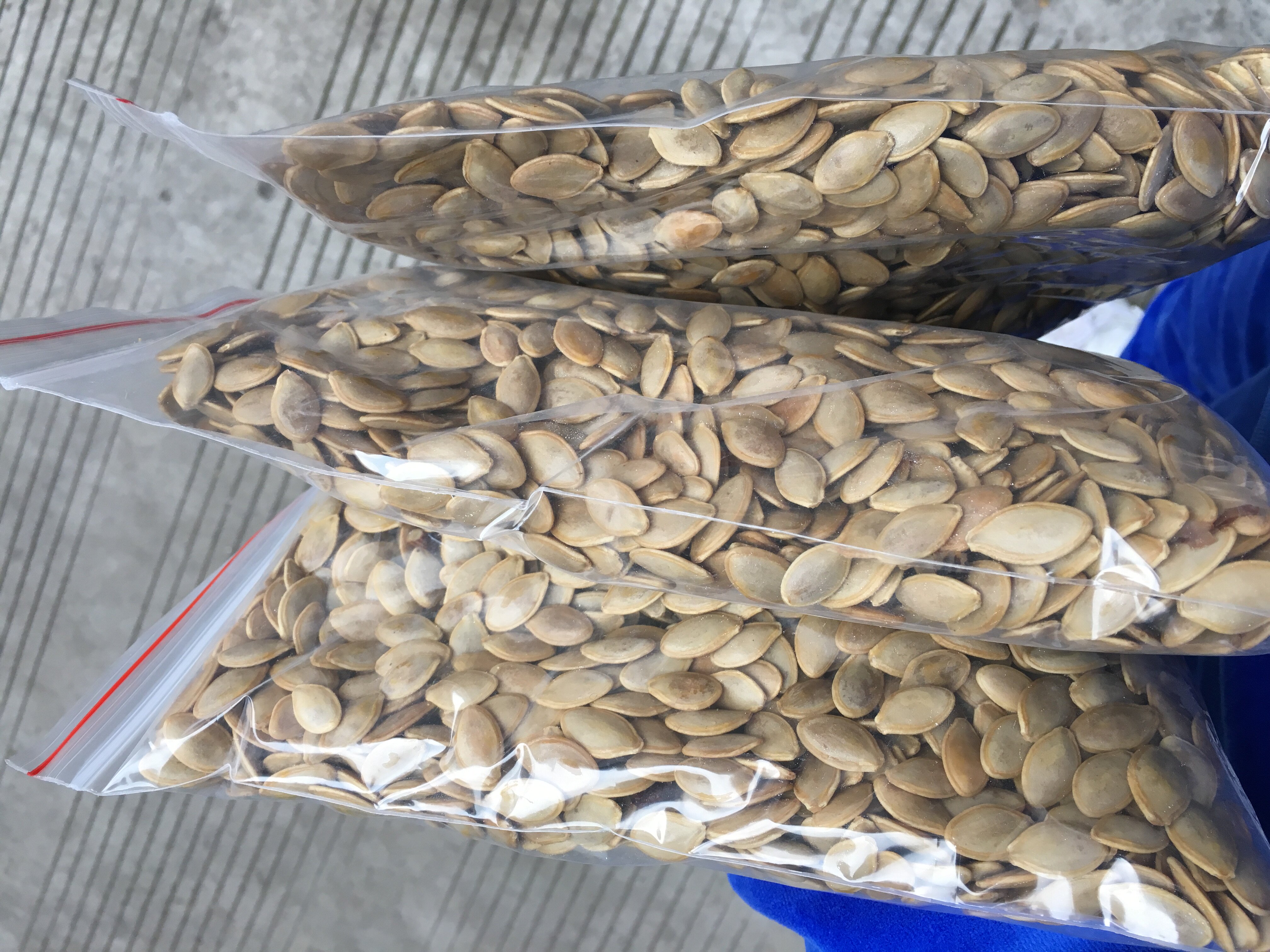 秘制特色水煮南瓜子(小中等颗粒)五香咸味湿瓜子不上火500g