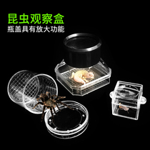 Insect observation box mini reptile box biology teaching instrument with magnifying glass student Children Outdoor Science toy