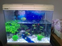 Bonsai pearl grass Bushes Flowers Trees Colorful Stone Fake Mountain Small And Medium Aquarium Fish Tank Built to Decorate Micro-Landscape Glass