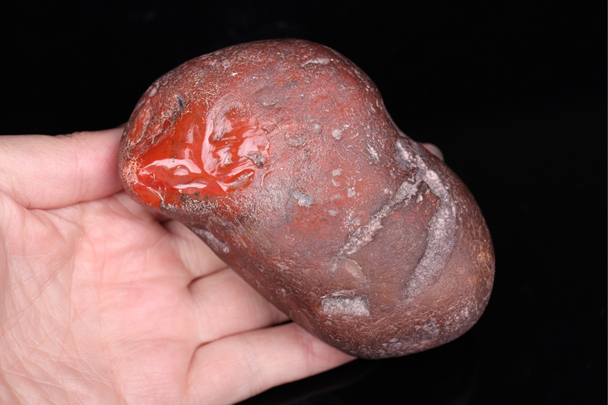 457g 南红玛瑙铁皮包浆开口毛料