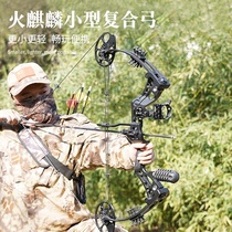 huwairen miniature steel ball composite bow professional mechanical pulley outdoor sport competitive bow and arrow anti-trashbow archery