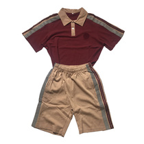 Dongguan City Dalingshan Town Chashan Town Primary School uniforms summer suit jacket shorts trousers