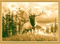 Mongolian Ulaanbaatar tapestry 1 3mx2m