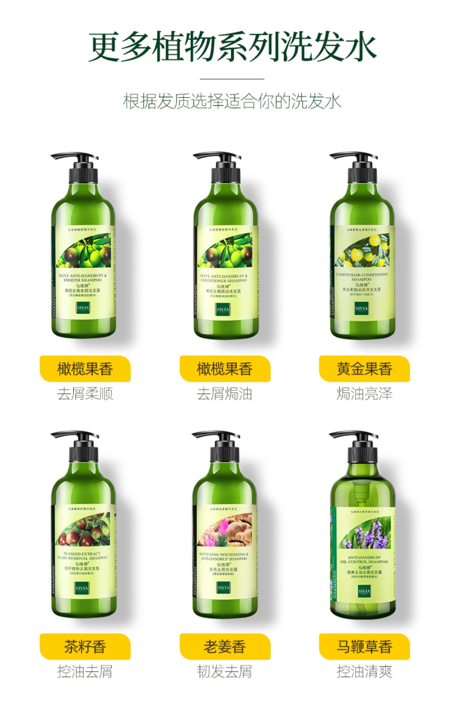 仙维娜橄榄去屑柔顺洗发水持久留香清爽控油洗发露洗头膏男女正品