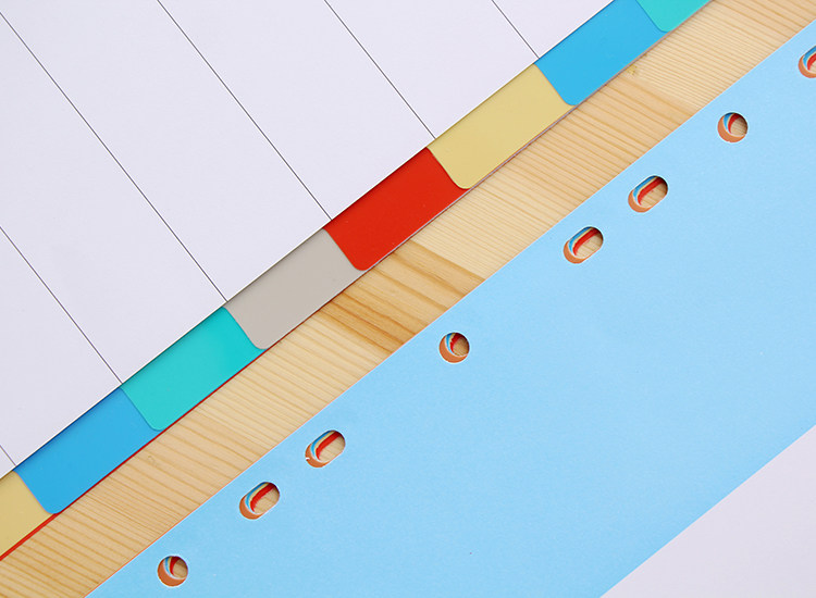 pp塑料分页纸彩色a4隔页纸11孔活页纸分类页纸10页档案索引纸标签