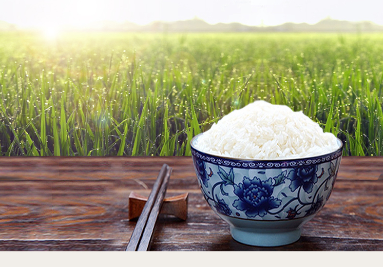 2017新米蟹园大米洪泽湖泗洪大米5kg 10斤粳米江苏宿迁泗洪特产