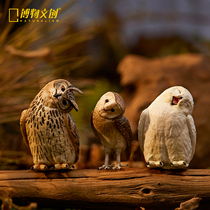 Natural Cultural creation natural crooked owl model model hand-held ornaments animal realistic science popularization