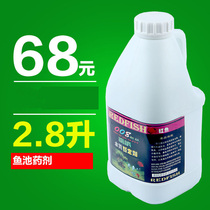 Fish tank nitrification bacteria water quality stabilizer water purification agent algae green sterilization water quality clarification agent water purification water quality