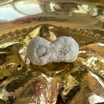 The immovable Bodhisattva is superior to the original sturdy son the garbagal has been proliferated.