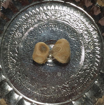 Longshu Bodhisattvas original sheng sturdy son for the Pagu 10mm a 800 special