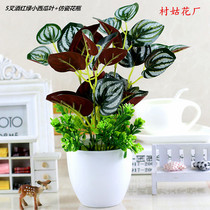 Simulation plants fake plants green plants indoor and outdoor decorative plastic potted fake green plants