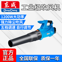Dongcheng hair dryer high-power dust removal Household small blower computer cleaning powerful industrial-grade vacuum cleaner
