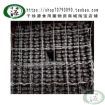 Grid culture Grid rope network Culture room culture rope net Fishing line rope net Black fungus bacteria bag Culture dedicated