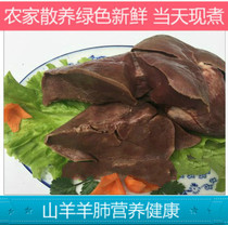 Fresh sheep lungs Cooked sheep lungs Shandong farm stocking goats spiced sheep lungs Vacuum packaging 500 grams Commercial