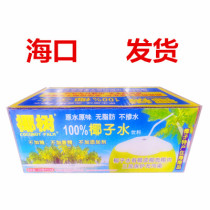 Hainan Haikou Coconut Tree Brand Coconut Water 330ml 24 Boxed Coconut Water Coconut Fruit