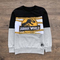 Dinosaur print spring and autumn new boy cartoon terry sweater foreign trade original single medium and big children baby cotton pullover