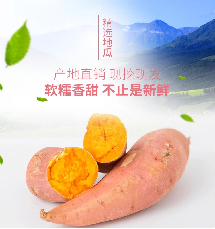 广西玉林小地瓜农家小红薯新鲜蔬菜小番薯板栗山芋地瓜5斤