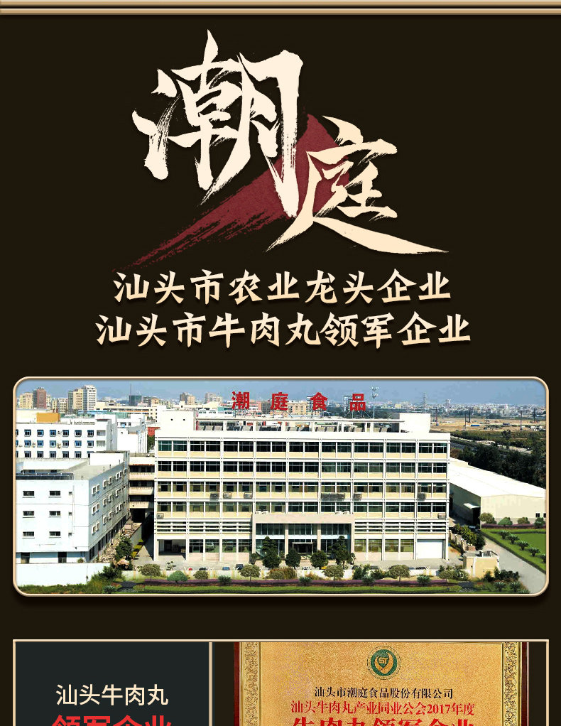 潮庭正宗潮汕手打牛肉丸广东汕头特产虾丸墨鱼丸潮州粿条火锅食材