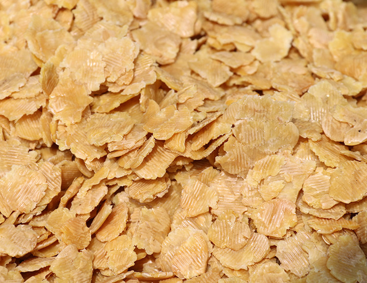 邳州黄豆钱子扁豆钱农家自种豆片五谷杂粮粥徐州特产散装黄豆500g