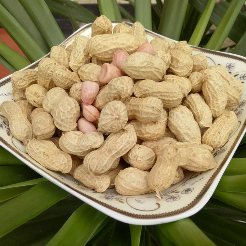 【农家土花生】带壳红皮花生米 小粒生新晒干花生红衣 生花生包邮