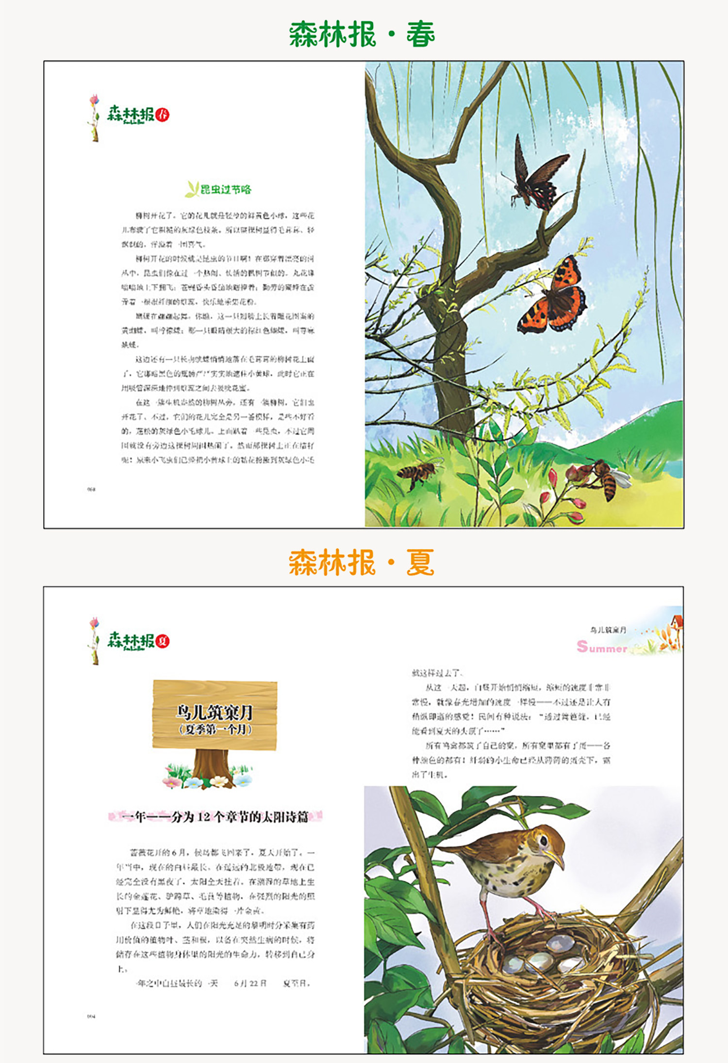 森林报春夏秋冬全四册 课外书五年级上册全集 细菌世界历险记正版书高